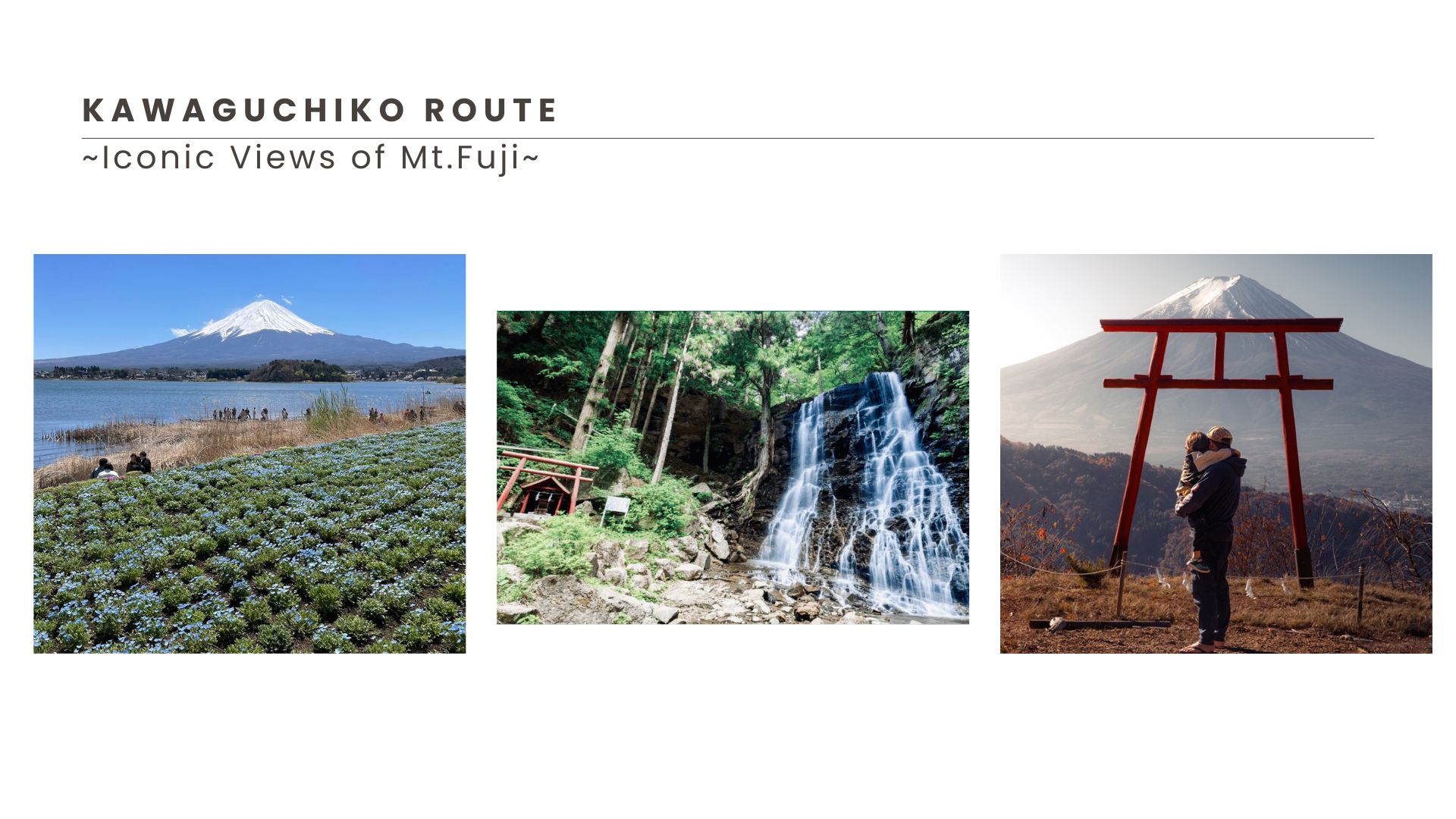 Mt Fuji Private Tour Routes
