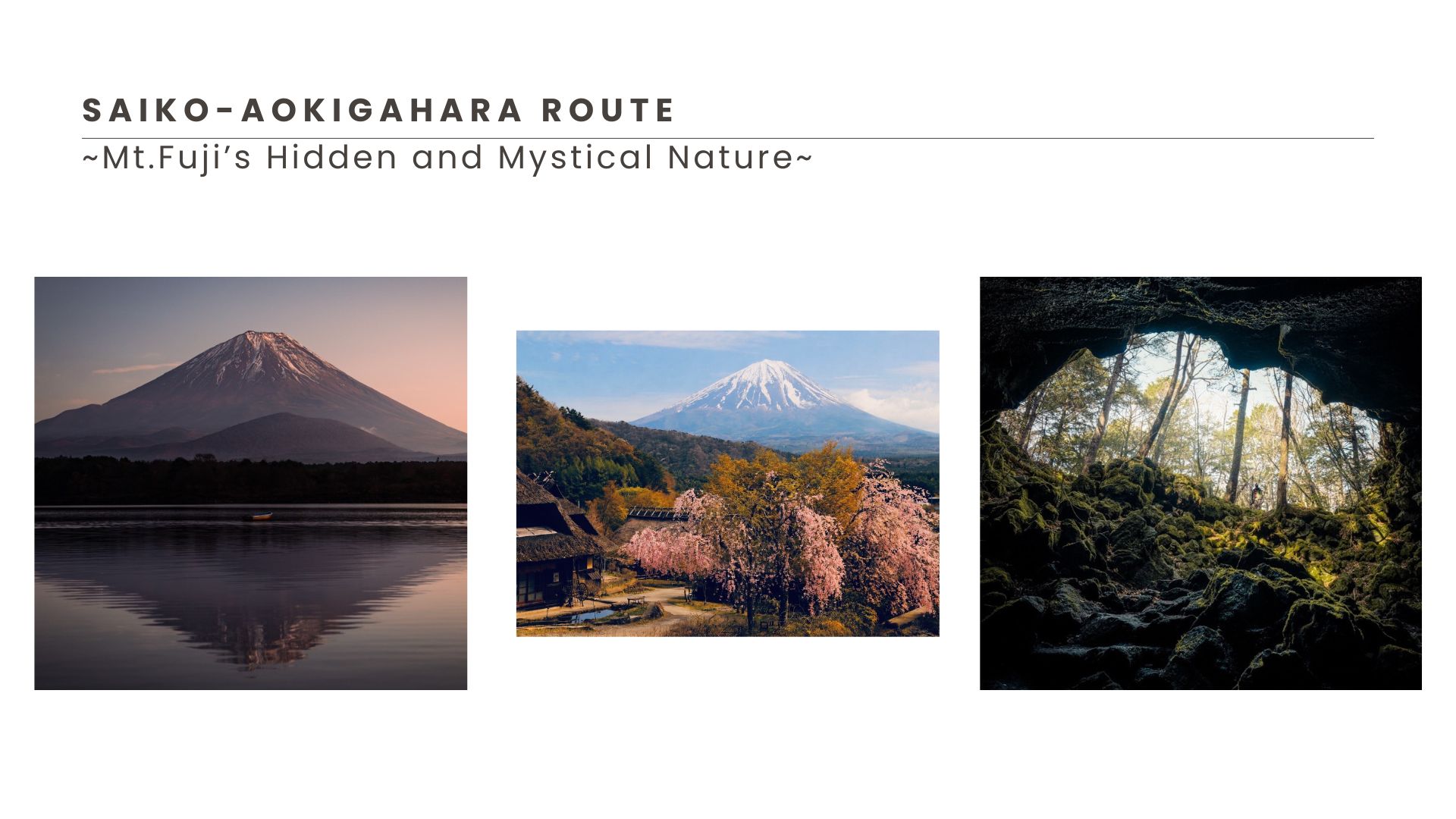 Mt Fuji Private Tour Routes