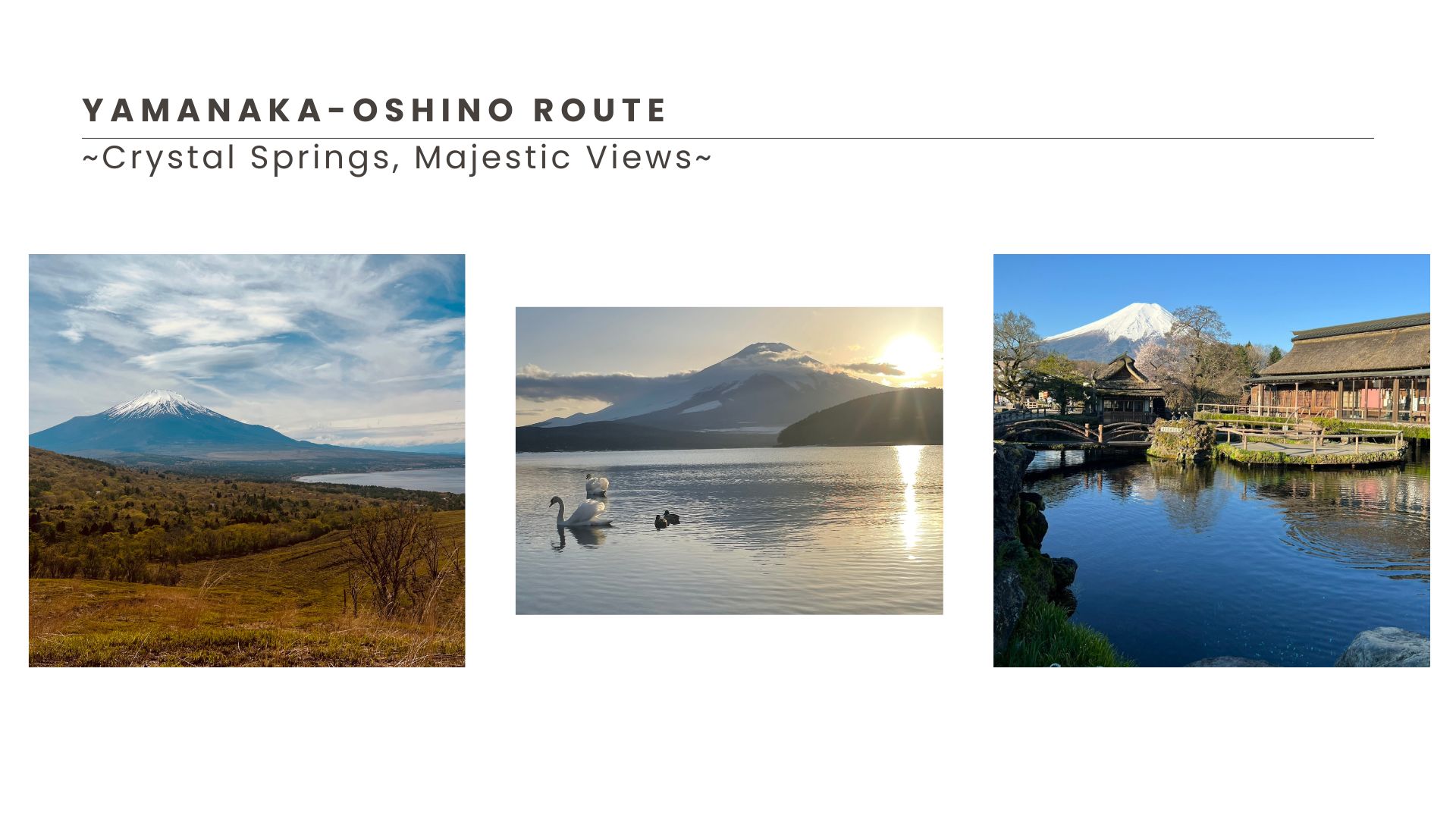 Lake Yamanaka and Oshino Hakkai on Mt Fuji Private Tour Routes